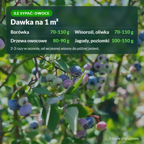 Sumin Organic: dawka na 1 m² dla borówek i owoców