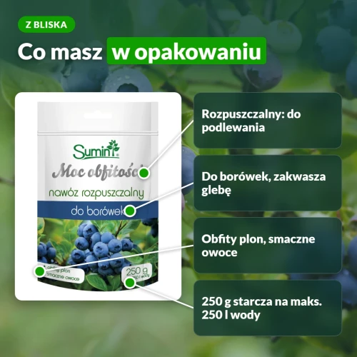Moc Obfitości: rozpuszczalny nawóz do borówek