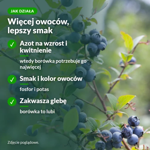 Jak działa Moc Obfitości: więcej owoców, lepszy smak