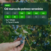 Kiedy stosować Moc Obfitości: od marca do połowy września