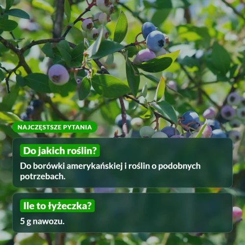 Moc Obfitości: najczęstsze pytania