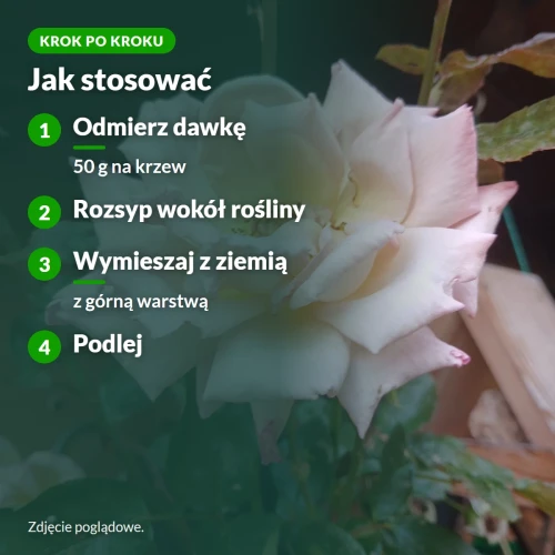 Jak stosować nawóz do roślin kwitnących