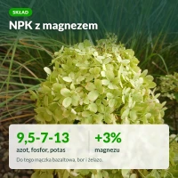 Skład: NPK 9,5-7-13 z magnezem