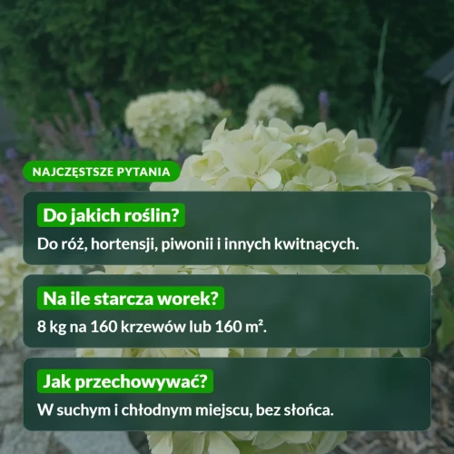 Nawóz do roślin kwitnących: najczęstsze pytania
