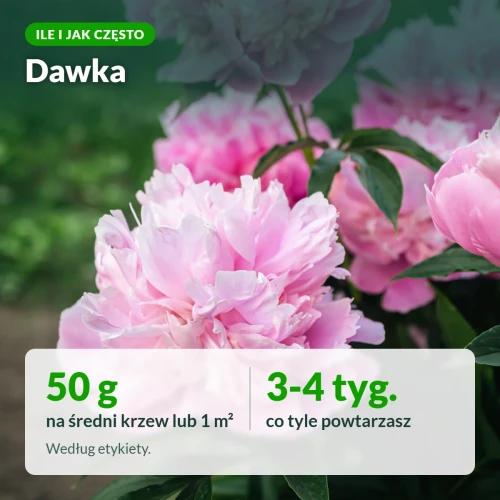 Dawka: 50 g na krzew lub 1 m² co 3-4 tygodnie