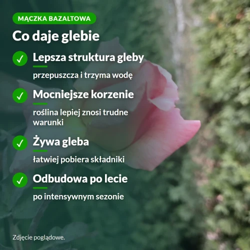 Mączka bazaltowa: co daje glebie