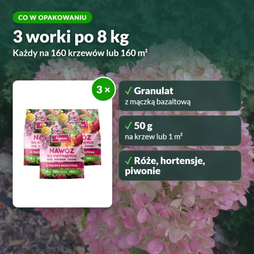 Vegano nawóz do kwitnących: co w opakowaniu