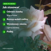 Jak stosować nawóz do roślin kwitnących
