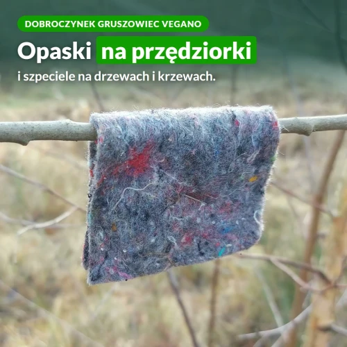 Dobroczynek gruszowiec Vegano: opaski na przędziorki i szpeciele