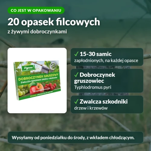Dobroczynek gruszowiec Vegano: co jest w opakowaniu