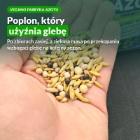 Vegano Fabryka Azotu, mieszanka poplonowa użyźniająca glebę