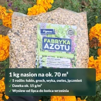 Fabryka Azotu: opakowanie i wydajność
