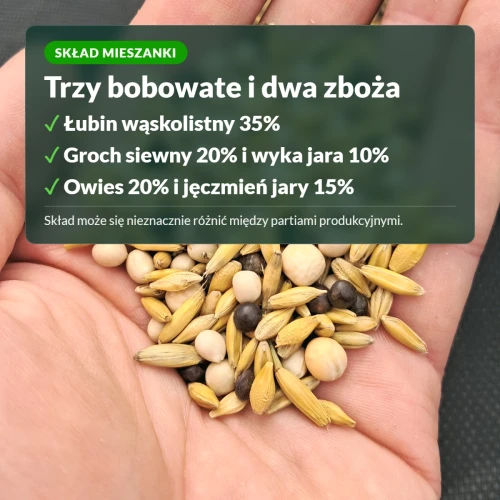 Skład mieszanki poplonowej: łubin, groch, wyka, owies, jęczmień