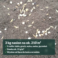 Fabryka Azotu: opakowanie i wydajność