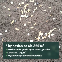 Fabryka Azotu: opakowanie i wydajność