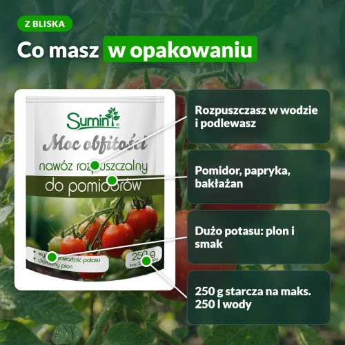 Moc Obfitości do pomidorów 250 g: rozpuszczasz w wodzie, starcza na 250 l