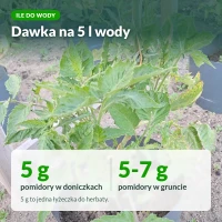 Moc Obfitości do pomidorów: 5-7 g na 5 l wody