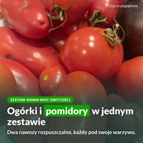 Zestaw Sumin Moc Obfitości: nawóz do ogórków i nawóz do pomidorów