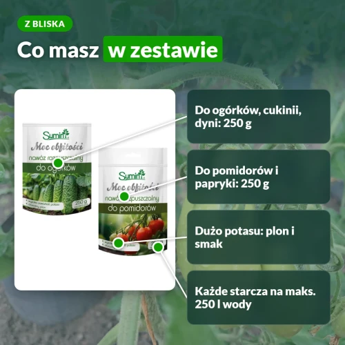 Zestaw Moc Obfitości: dwa nawozy po 250 g, każdy starcza na 250 l wody