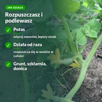 Jak działa zestaw Moc Obfitości: rozpuszczasz i podlewasz w gruncie, szklarni i donicy