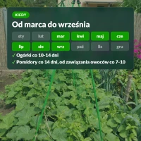 Kiedy stosować zestaw Moc Obfitości: od marca do września