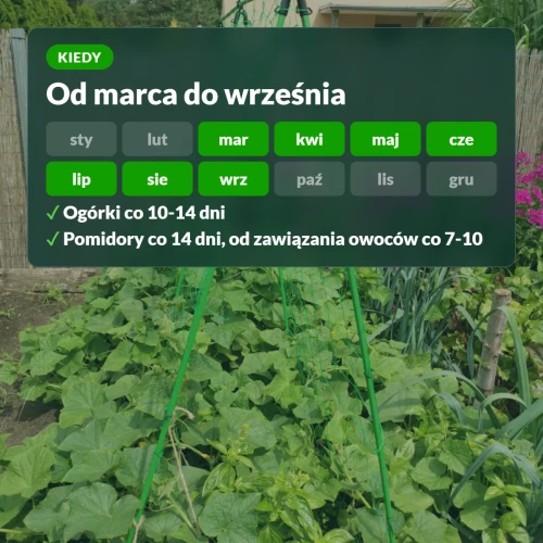 Kiedy stosować zestaw Moc Obfitości: od marca do września
