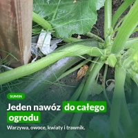 Sumin nawóz uniwersalny płynny: warzywa, owoce, kwiaty i trawnik