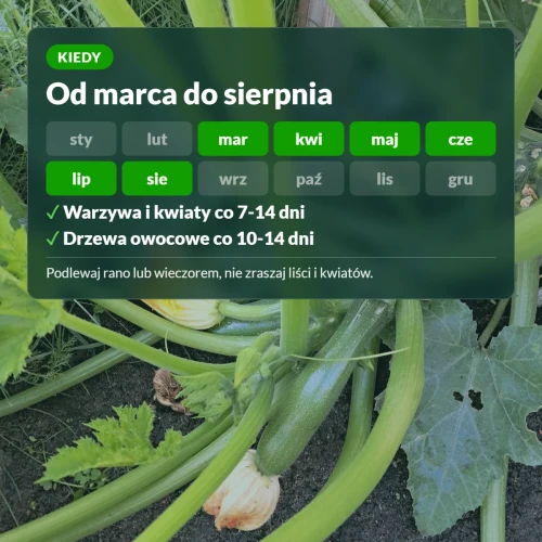 Kiedy stosować nawóz uniwersalny płynny Sumin: od marca do sierpnia