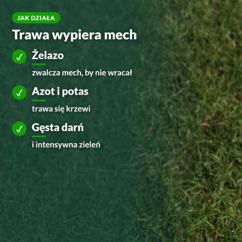 Jak działa nawóz do trawników z mchem Sumin: żelazo, azot i potas