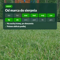 Kiedy nawozić trawnik z mchem: od marca do sierpnia, na suchą trawę