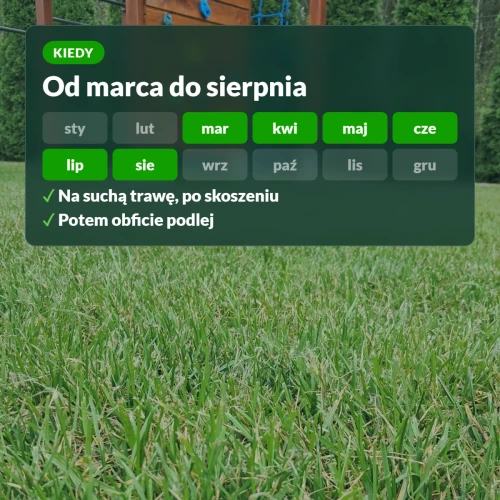 Kiedy nawozić trawnik z mchem: od marca do sierpnia, na suchą trawę