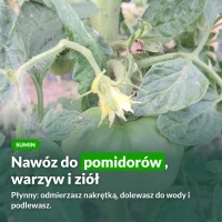 Sumin nawóz płynny do pomidorów, warzyw i ziół