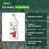 Sumin nawóz płynny do pomidorów: nakrętka to miarka, makro- i mikroelementy