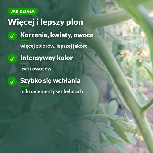 Jak działa nawóz płynny do pomidorów Sumin: więcej plonu, intensywny kolor, chelaty