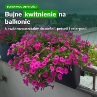 Sumin Moc Obfitości do kwiatów balkonowych: surfinie, petunie, pelargonie