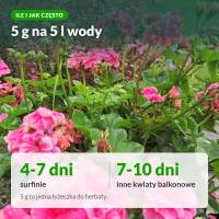 Moc Obfitości do balkonowych: 5 g na 5 l wody, surfinie co 4-7 dni