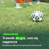 Substral Sportowa: trawnik do gry, który sam się zagęszcza