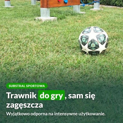 Substral Sportowa: trawnik do gry, który sam się zagęszcza