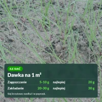 Trawa samozagęszczająca Substral: zakładanie 20-30 g, zagęszczanie 5-10 g na 1 m²