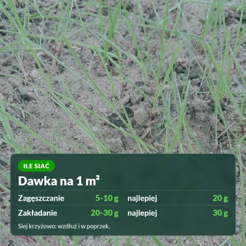 Trawa samozagęszczająca Substral: zakładanie 20-30 g, zagęszczanie 5-10 g na 1 m²