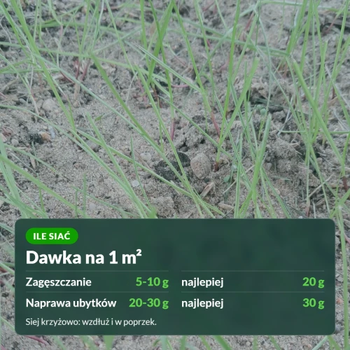 Trawa Substral Renowacyjna: naprawa ubytków 20-30 g, zagęszczanie 5-10 g na 1 m²