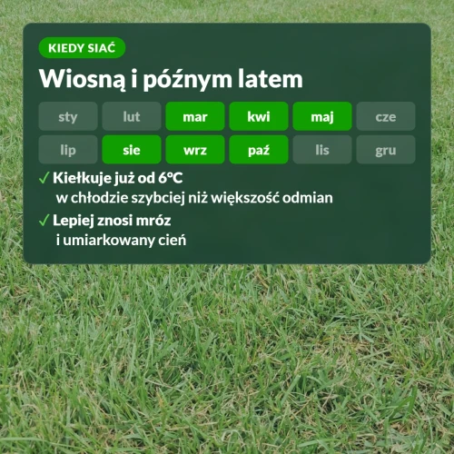 Kiedy siać trawę samozagęszczającą Substral: wiosną i późnym latem, od 6°C