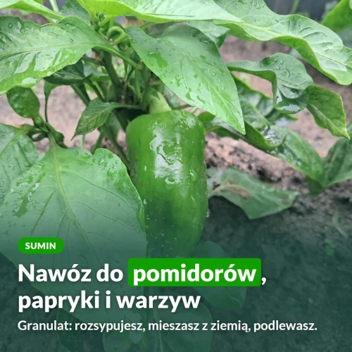 Sumin nawóz do pomidorów, papryki i warzyw w granulacie