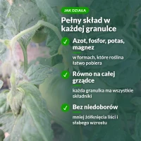 Jak działa granulowany nawóz do pomidorów Sumin: pełny skład w każdej granulce