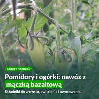Target Natural do pomidorów i ogórków z mączką bazaltową