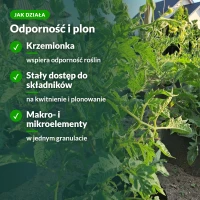 Jak działa nawóz Target z mączką bazaltową: krzemionka na odporność i plon