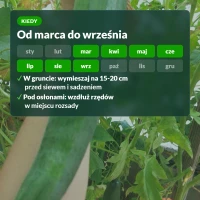Kiedy stosować Target z mączką bazaltową: od marca do września