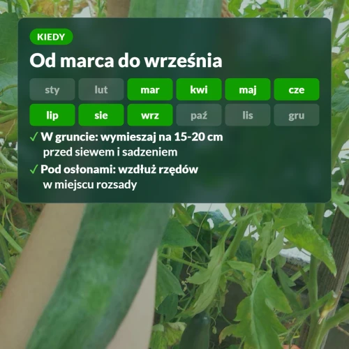 Kiedy stosować Target z mączką bazaltową: od marca do września