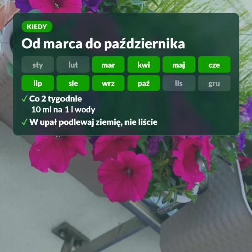 Kiedy stosować Vegano Flower Power: od marca do października