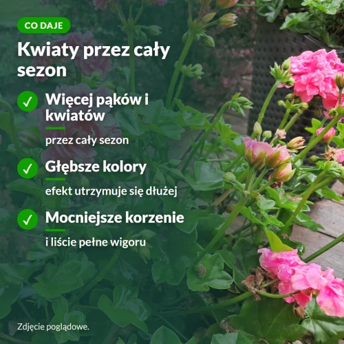 Co daje Vegano Flower Power: więcej pąków, głębsze kolory, mocne korzenie